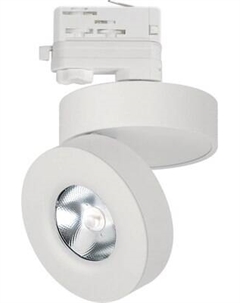 Трековый светильник Arlight LGD-MONA-TRACK-4TR-R100-12W Day4000 WH 24deg / 025447(2)