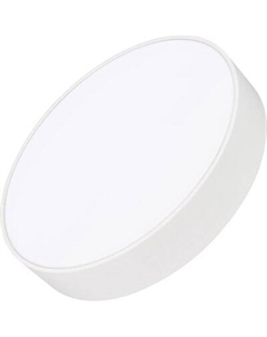 Потолочный светильник Arlight SP-RONDO-R350-30W Warm3000 WH 120deg / 034809