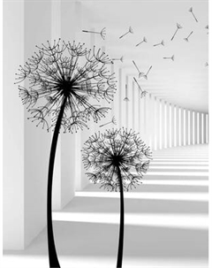 Фотообои листовые Citydecor Абстракция 441