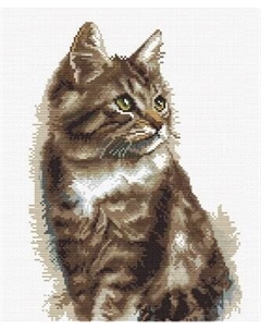 Набор для вышивания Школа талантов Домашний кот / 10732319