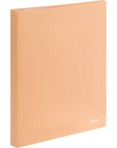 Папка для бумаг Стамм Акцент / ММ-31636