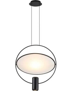 Потолочный светильник Omnilux OML-29806-02