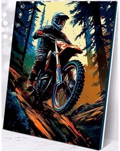 Картина по номерам Флюид Мотокросс 40x50 / MB0006