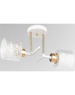 Потолочный светильник Aitin-Pro НПБ 02-2x40-101 / 6256/2 Aitin-pro
