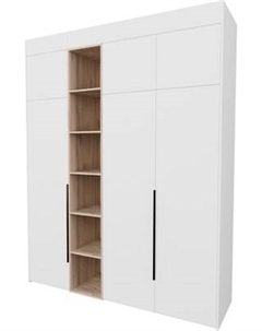 Шкаф Рэйгрупп Рэй S245-В8-2-EBЕ В8-2