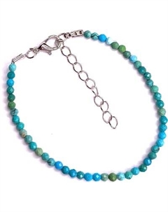 Браслет на ногу Wolves Бирюза 6255