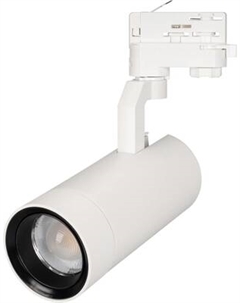 Трековый светильник Arlight LGD-GELIOS-4TR-R80-30W Day4000 WH 20-60deg / 031221