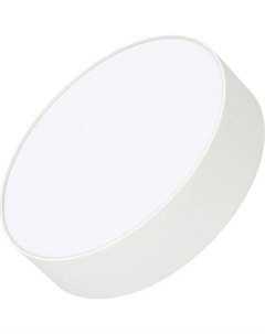 Потолочный светильник Arlight SP-RONDO-R210-20W Warm3000 WH 120deg / 022231(2)