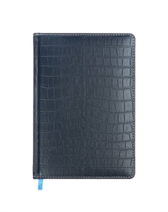 Ежедневник датированный 2025, A5, 168 листов, .Wild, твёрдая обложка с поролоном из искусственной кожи, золотой срез, ляссе, кремовый блок 70 г/м2, синий Devente