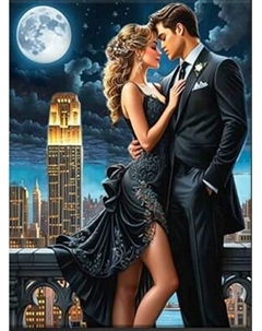 Картина по номерам Флюид Романтическая ночь 40x50 / FHR0415