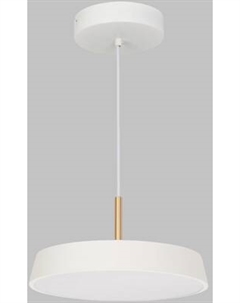 Потолочный светильник Arlight SP-ELEGANT-R300-17W Day4000 WH 120deg / 033919(1)