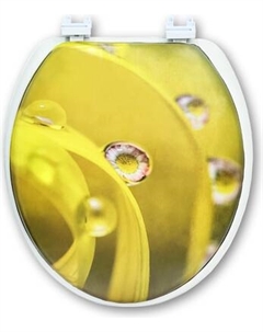 Сиденье для унитаза Еврокомфорт Океан В-31 103-311-01В31