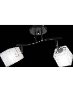 Спот Aitin-Pro НПБ 02-2x60-101 / 96223/2 Aitin-pro