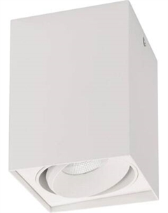 Точечный светильник Arlight SP-CUBUS-S100x100-11W Day4000 WH 40deg / 023078(2)