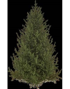 Ель искусственная Max Christmas Литая Лесная Симфония / ЕЛСМЛ 18 Max christmas