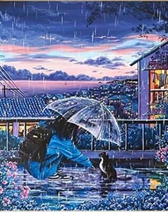 Картина по номерам Молли Прогулка под дождем 40x50 / HR0612 Molli