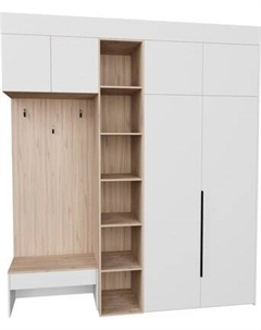 Секция в прихожую Рэйгрупп Рэй P257-B6-1-EBE В6-1