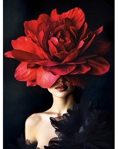 Набор алмазной вышивки Феникс+ Роскошная роза / 70851 Feniks