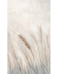 Фотообои листовые Citydecor Невесомость 45