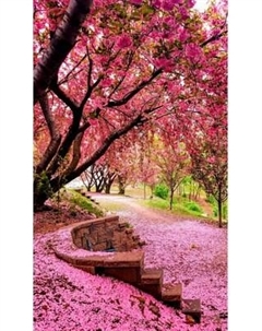 Фотообои листовые Citydecor Природа 148