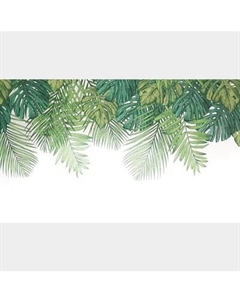 Фотообои листовые Citydecor Цветы и Растения 237