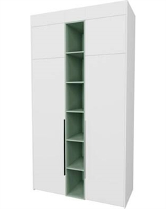 Шкаф Рэйгрупп Рэй S257-В4-EBZ В4