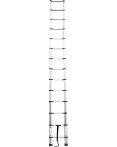 Телескопическая лестница Scheppach Sch-UP410