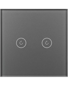 Выключатель Arlight SWT-OMALI-S02-ZB-GR / 050039