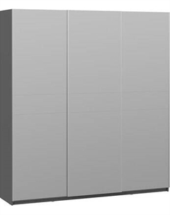 Шкаф-купе ТриЯ Оскар Т2 2100 / 271177 Трия