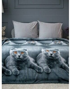 Плед PAVLine Шотландец 200x220 Pavline