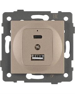 Розетка Arlight SCT-MUAC-PL-GD-V / 049841