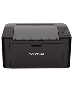 Принтер лазерный Pantum P2507