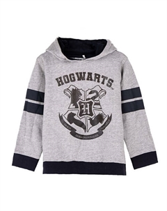 Толстовка с капюшоном детская Harry potter