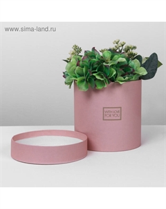 Коробка подарочная круглая, упаковка, «Пантон 06», 15 х 15 х 15 см Дарите счастье