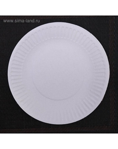 Набор одноразовых тарелок, d=17 см, 100 шт., картон, белый Мистерия