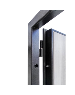 Входная дверь в квартиру «Да - 66 Милли», 970×2050 мм, правая, цвет антик серебро/ясень ривьера айс Argus