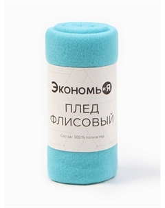 Плед флисовый «», 150×200 см, 160 г/м², голубой Экономь и я
