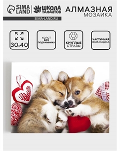 Алмазная мозаика с частичным заполнением на холсте «Малыши корги», 30 х 40 см Школа талантов