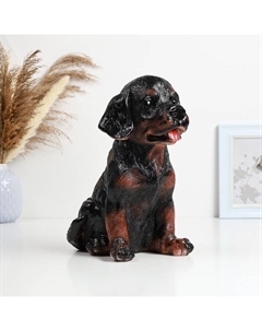 Копилка для денег «Щенок ротвейлера», гипс, 28×17×23 см Хорошие сувениры