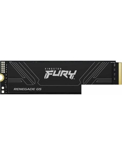 SSD Fury Renegade G5 4TB SFYR2S/4T0 Kingston