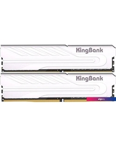 Оперативная память KJXS 2x8ГБ DDR4 3200 МГц K5.01.FP049C9201 Kingbank