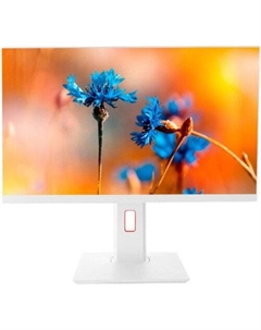 Моноблок P24WP 2108500 Tesla