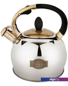 Чайник со свистком 937-832 Agness