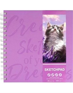 Скетчбук Феникс+ Кот и лаванда / 70190 Feniks