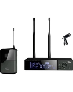 Радиосистема микрофонная Октава OWS-U1200L