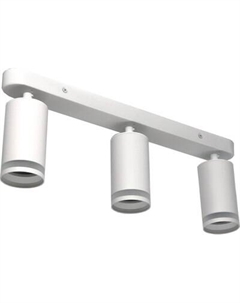 Спот Truenergy 21367