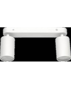 Спот Truenergy 21361