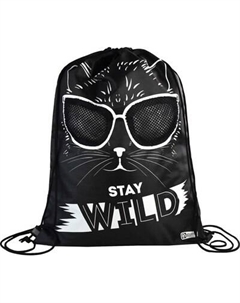 Мешок для обуви Феникс+ Стильная киса / 62647 Feniks