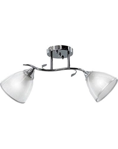 Потолочный светильник Aitin-Pro НПБ 02-2x60-101 / 6042/2 Aitin-pro