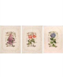 Набор полотенец Pole Kvetak (Беларускі лён) 46x60 24С112-ШР/рп/фкор/к. Pole kvetak (беларускі лён)